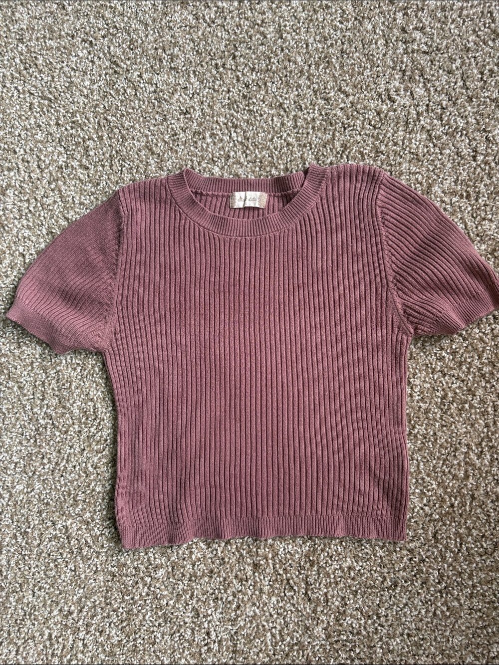 Altar'd State Mauve Ribbed Short Sleeve Knit Top